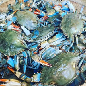 bushel-crabs-geresbecks0baltimore